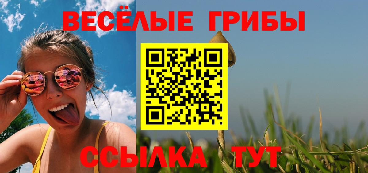 Рязань  купить  цена  Вход с VPN  Псилоцибиновые грибы прущие грибы 